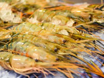 Gambas crues alignées