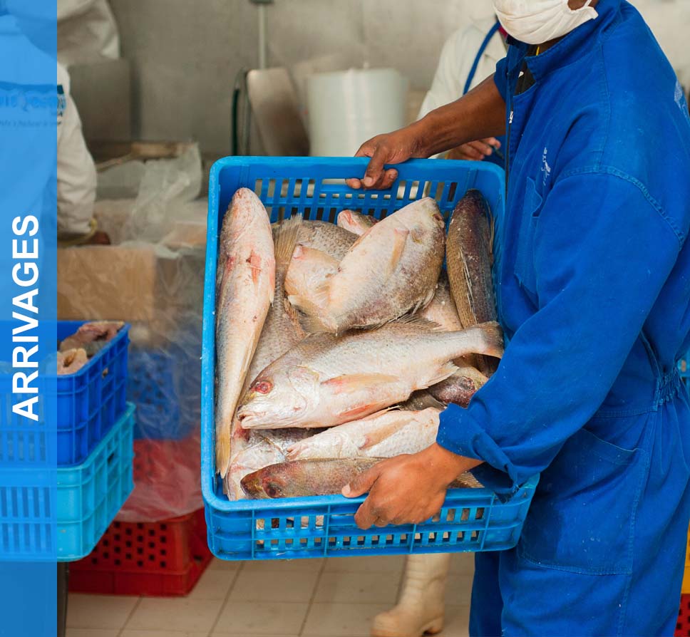 ARRIVAGE JOURNALIER - <br/>Poissons entiers 18500AR/KG <br/>Filets de poissons 9000AR/250G<br/>Autres produits de mer<br/><i><b>A profiter en magasin !!</b></i>