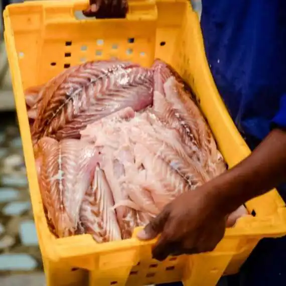 Caisse de filets de poisson frais