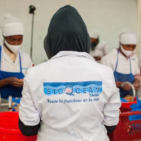 Employées en tenue d'hygiène préparant les poissons à l'atelier