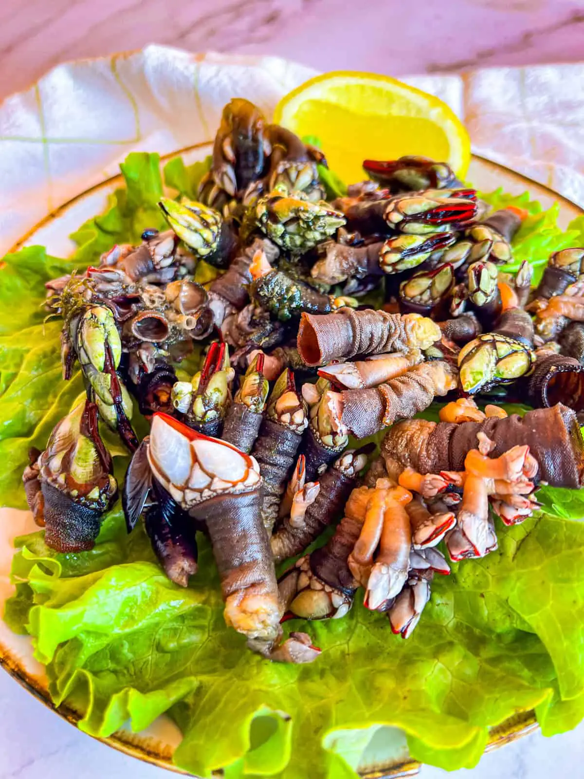 Pouces-pieds (percebes)