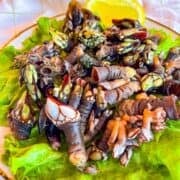 tas de bernacles sur une assiette.