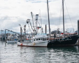 Opportunités et ressources hivernales pour la communauté de pêcheurs de l'Alaska – Salmon Sisters