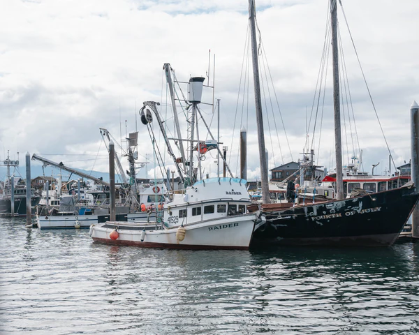 Opportunités et ressources hivernales pour la communauté de pêcheurs de l'Alaska – Salmon Sisters