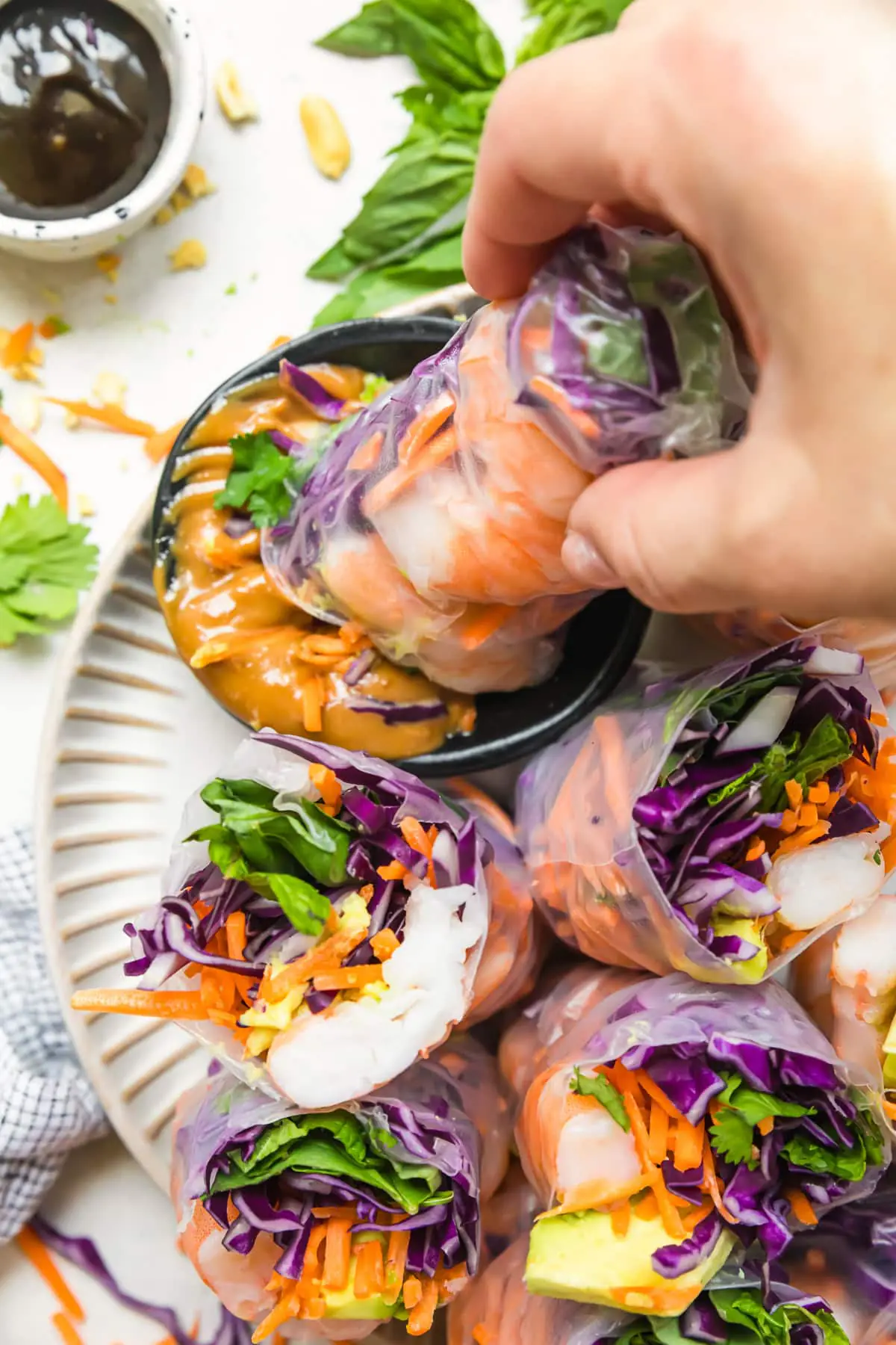 Rouleaux frais et sauce hoisin aux cacahuètes
