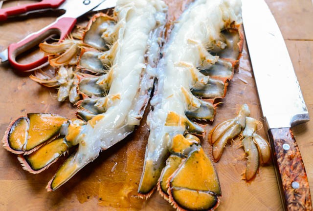 homardn'importe où©RhondaAdkinsPhotography2015