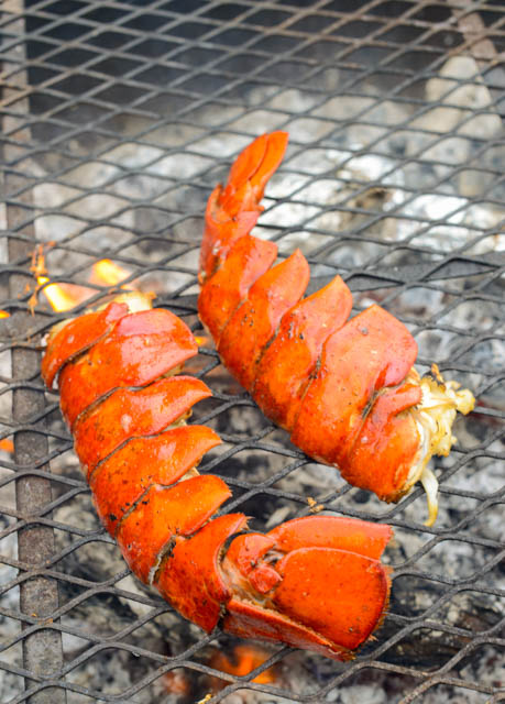 homardn'importe où©RhondaAdkinsPhotography2015