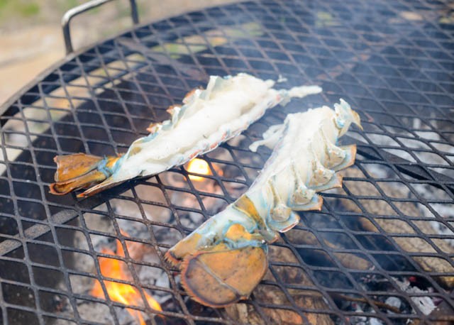 homardn'importe où©RhondaAdkinsPhotography2015