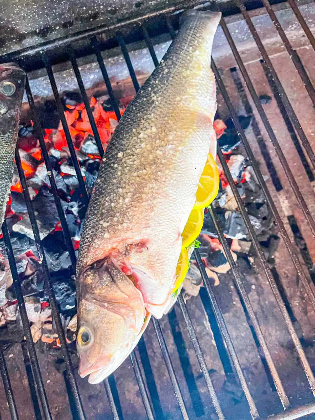 Branzino entier en cours de cuisson sur le gril