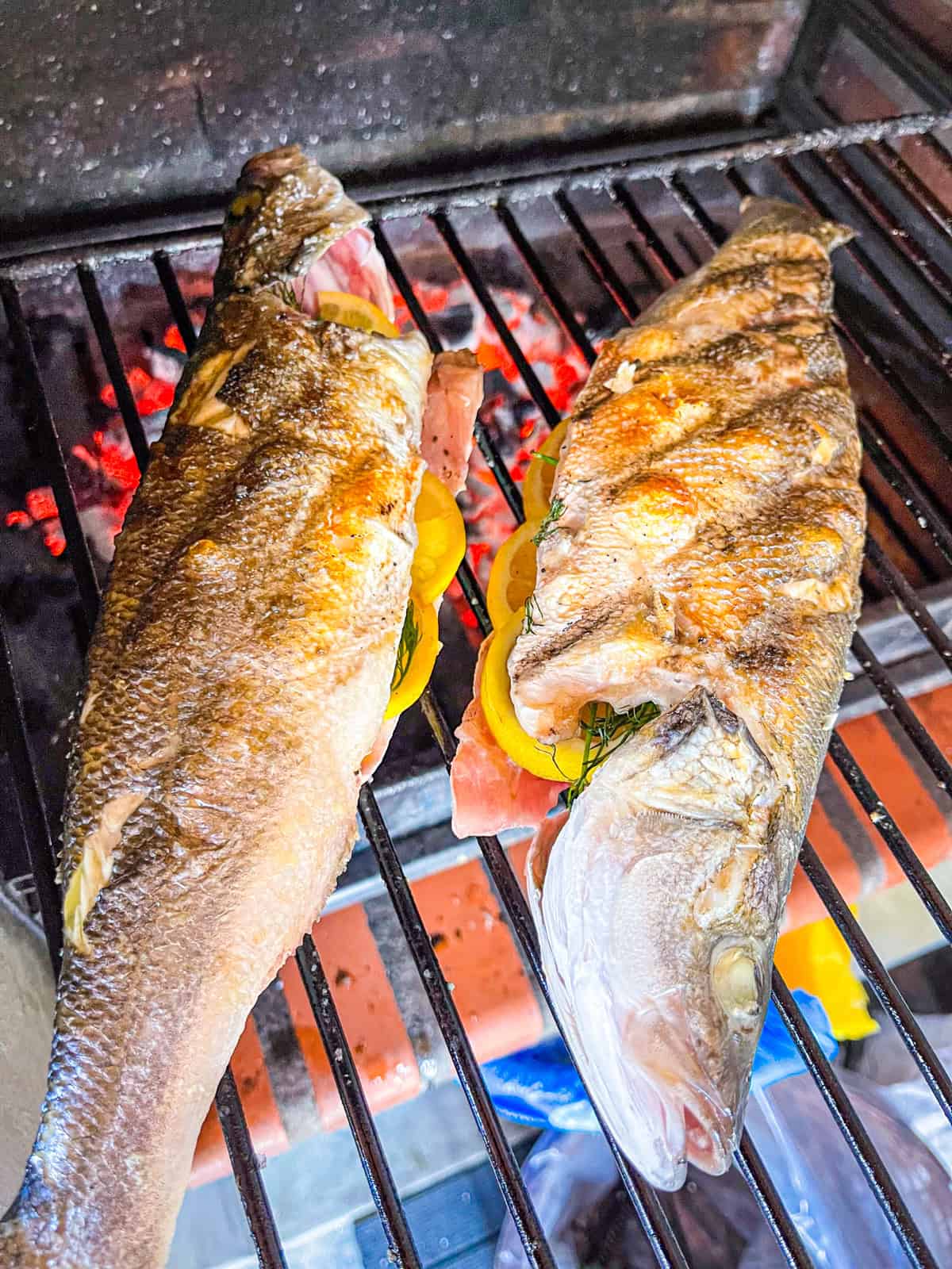 Poisson grillé sur du charbon chaud.