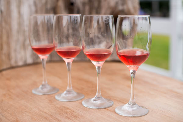 Vacances à la crème glacée aux triples baies ©RhondaAdkinsPhotography 2014-7