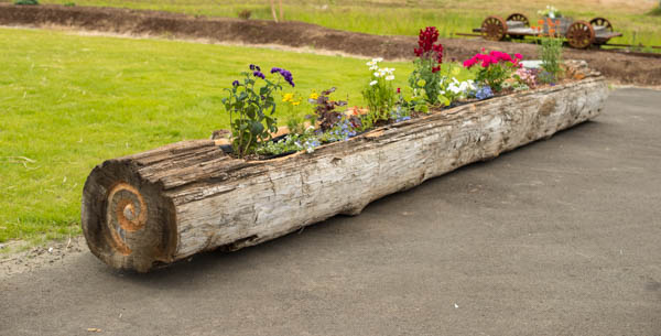 Vacances à la crème glacée aux triples baies ©RhondaAdkinsPhotography 2014-10