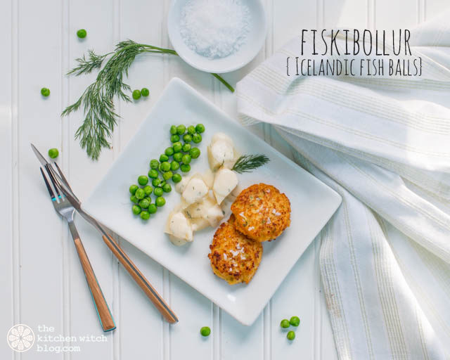 fishballs_fiskbollurrhondaadkinsphotographie