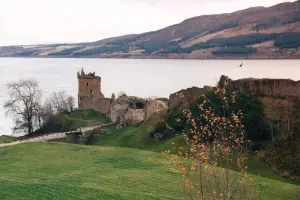 Ecosse, suite : apprendre à connaître la sardine Brisling