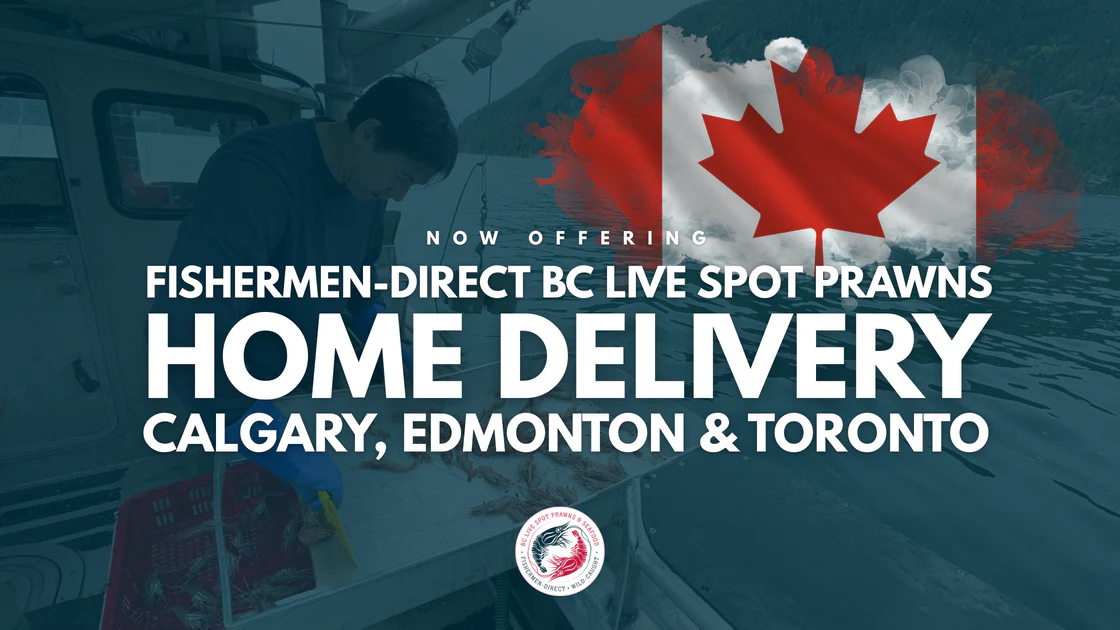 Livraison à domicile de crevettes spot vivantes 2025 à Calgary, Edmonton et Toronto