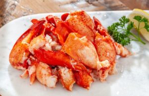 Nos fruits de mer printaniers préférés : le homard – Cameron's Seafood