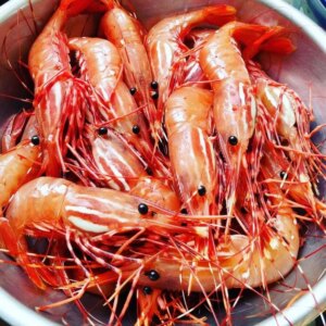 Servir des crevettes tachetées en Colombie-Britannique : un guide sur la taille des portions