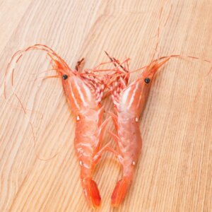 « Flash Frozen at Sea » et crevettes tachetées de la Colombie-Britannique