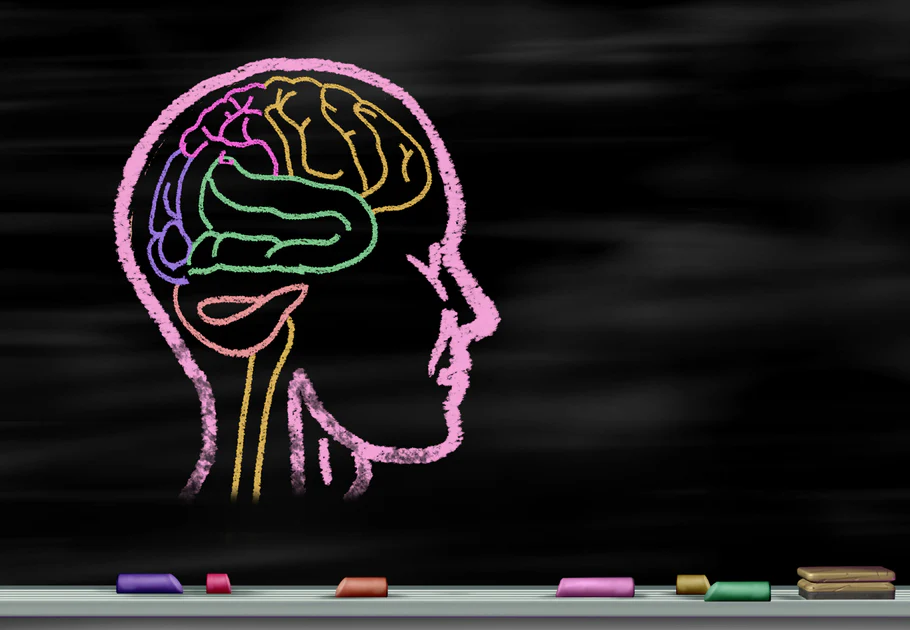 Acides aminés, chimie cérébrale et poisson