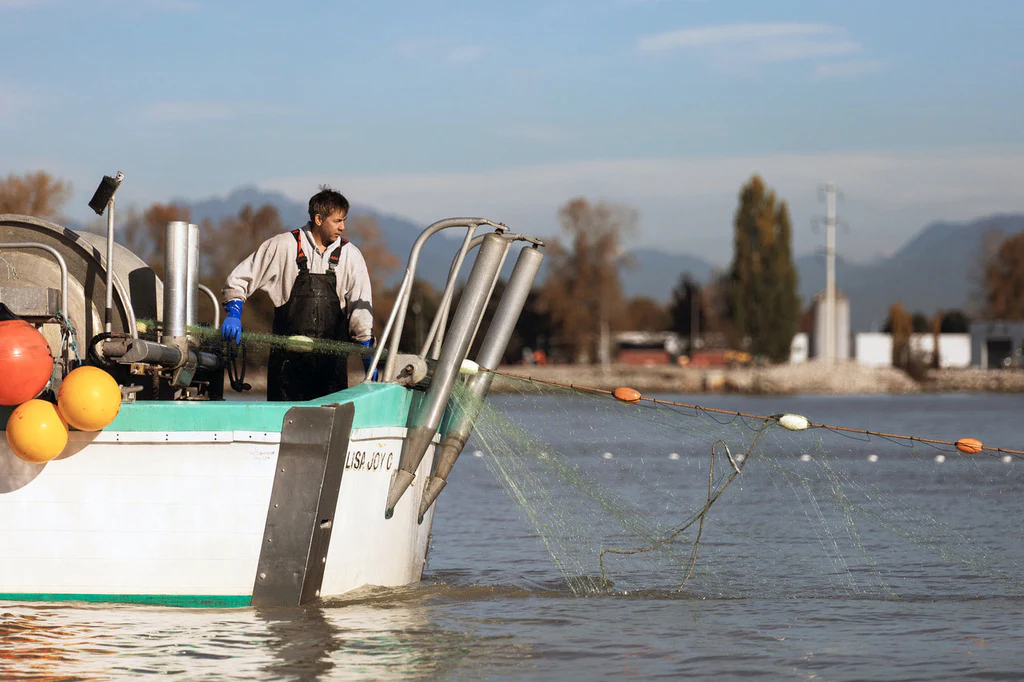 Darin Chung @ BC Live Spot Crevettes et fruits de mer