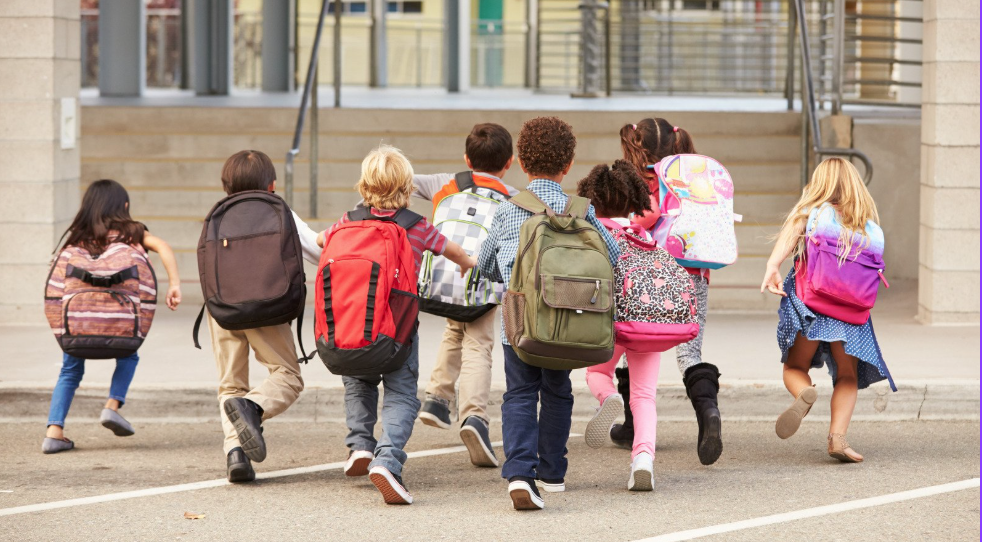 RETOUR À L'ÉCOLE : IL EST TEMPS DE REMETTRE LE POISSON SUR LA TABLE DU DÎNER