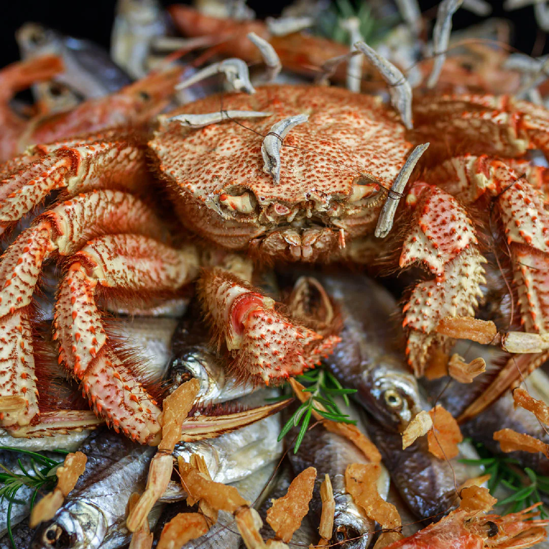 L'histoire du crabe à la vapeur : des débuts modestes à la sensation des fruits de mer