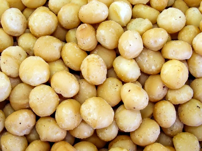 Photo en gros plan de noix de macadamia décortiquées