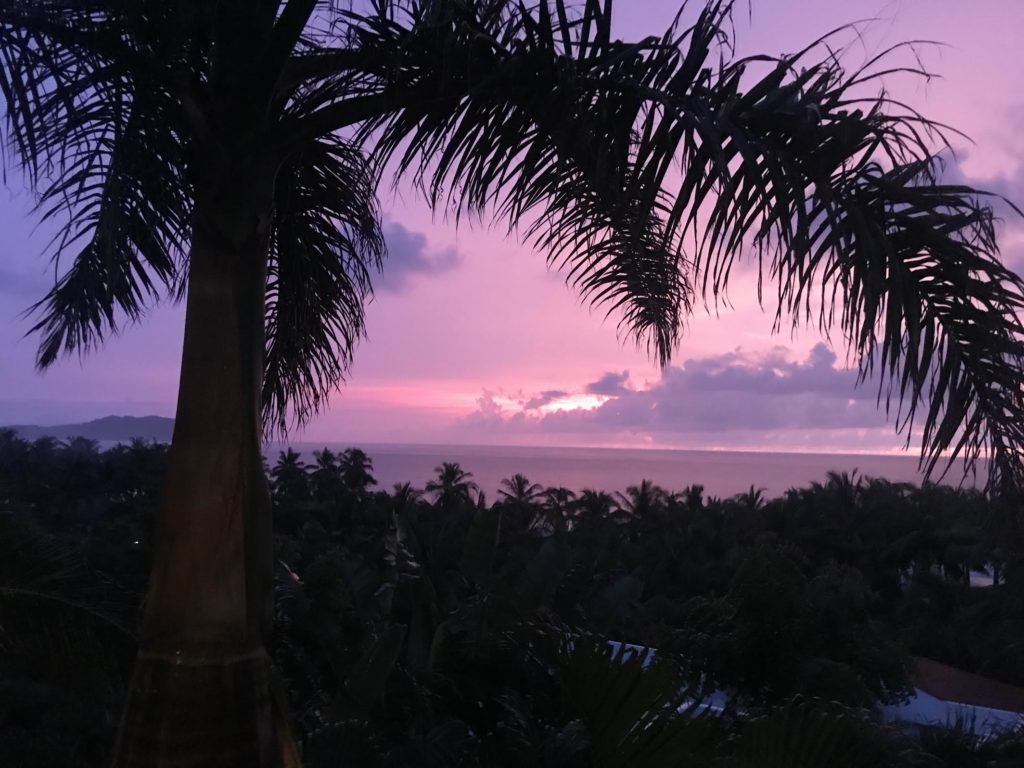 Vue sur Puerto Vallarta
