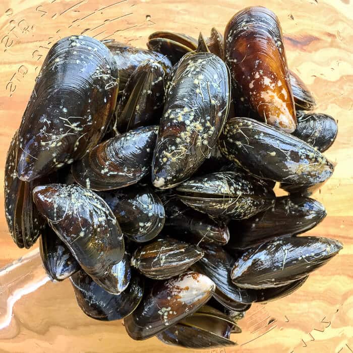 Moules fraîches
