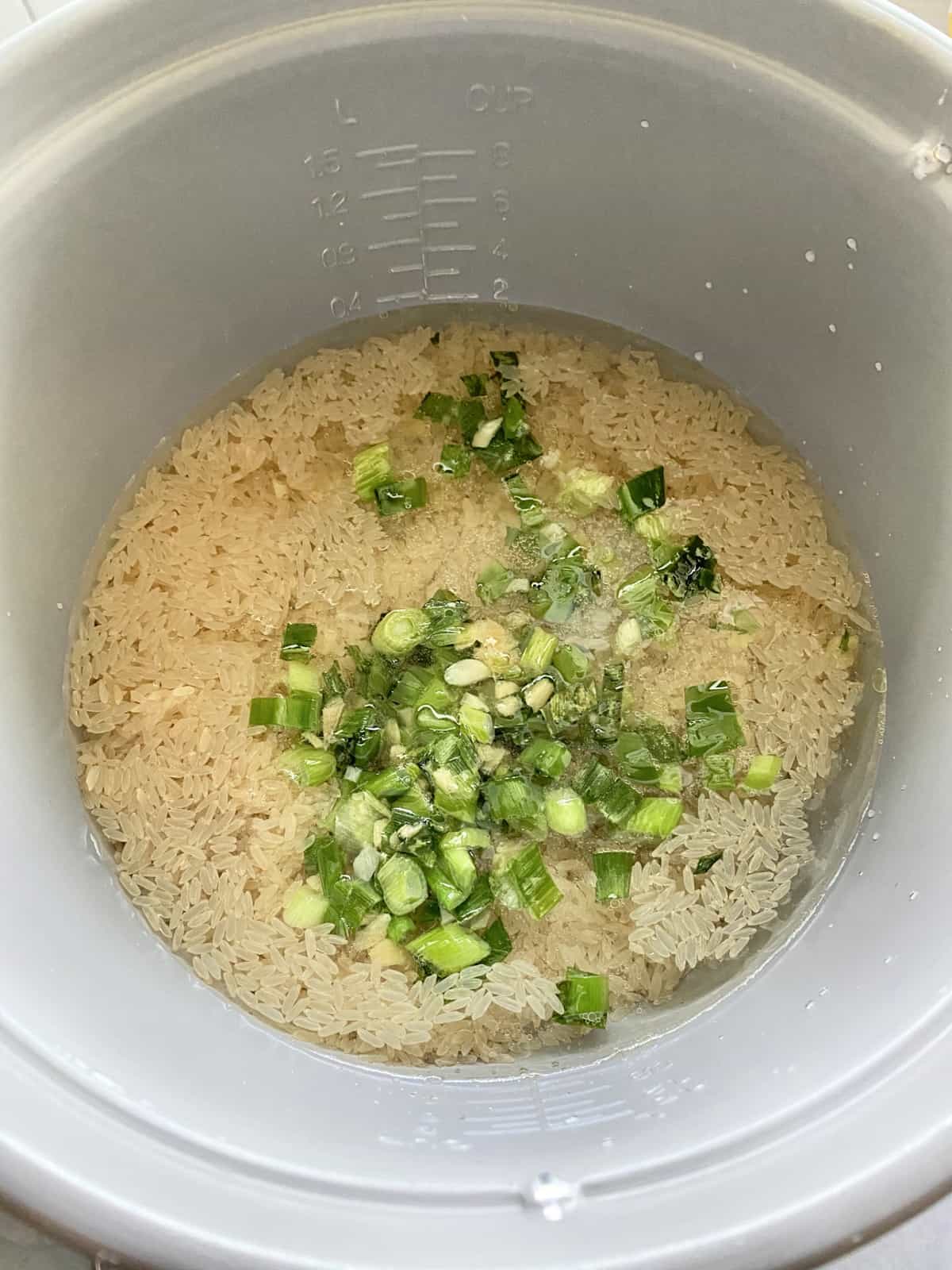 Riz dans une marmite à riz en argent avec des oignons verts et de l'eau.