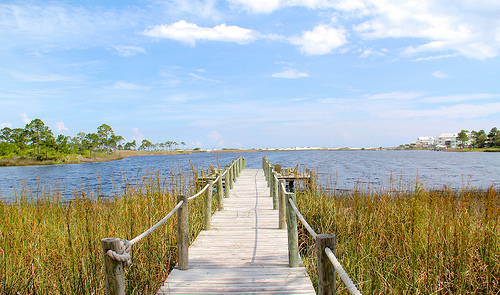 lac