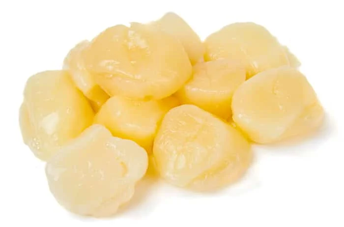 Tas de pétoncles crus pelés isolés sur blanc