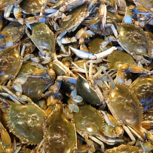 Défi du seau de crabe cuit à l'eau chaude : pouvez-vous vous attaquer à un festin de crabe dormeur ?