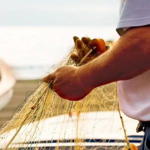 Développement durable chez The Cornish Fishmonger