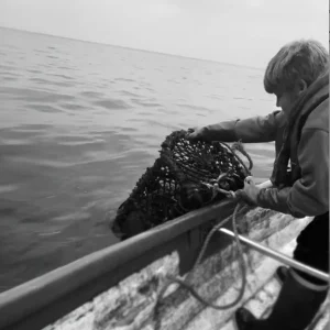 L’avenir de la pêche des Cornouailles – The Cornish Fishmonger