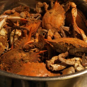 Crabe à la vapeur et bière : l'accord parfait pour les amateurs de fruits de mer