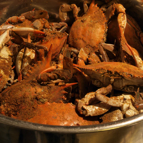 Crabe à la vapeur et bière : l'accord parfait pour les amateurs de fruits de mer