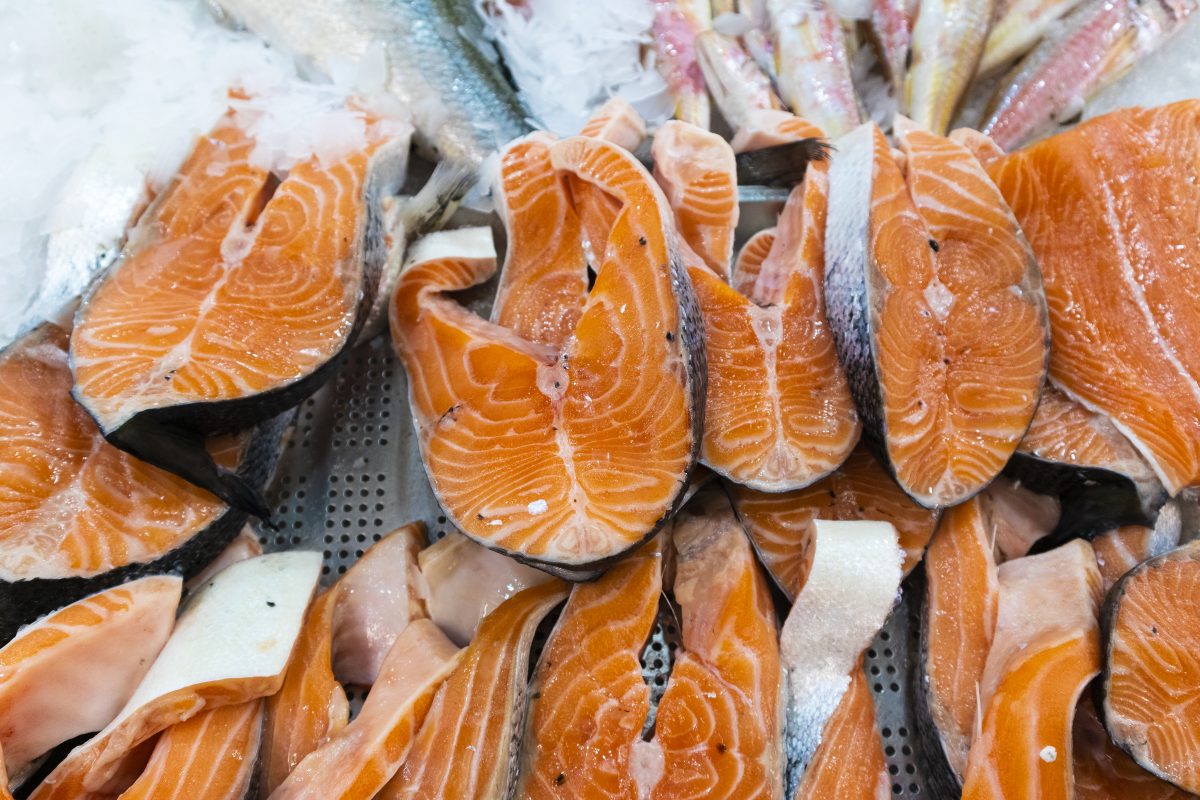 salmon from Seafood-distributors-in-PA