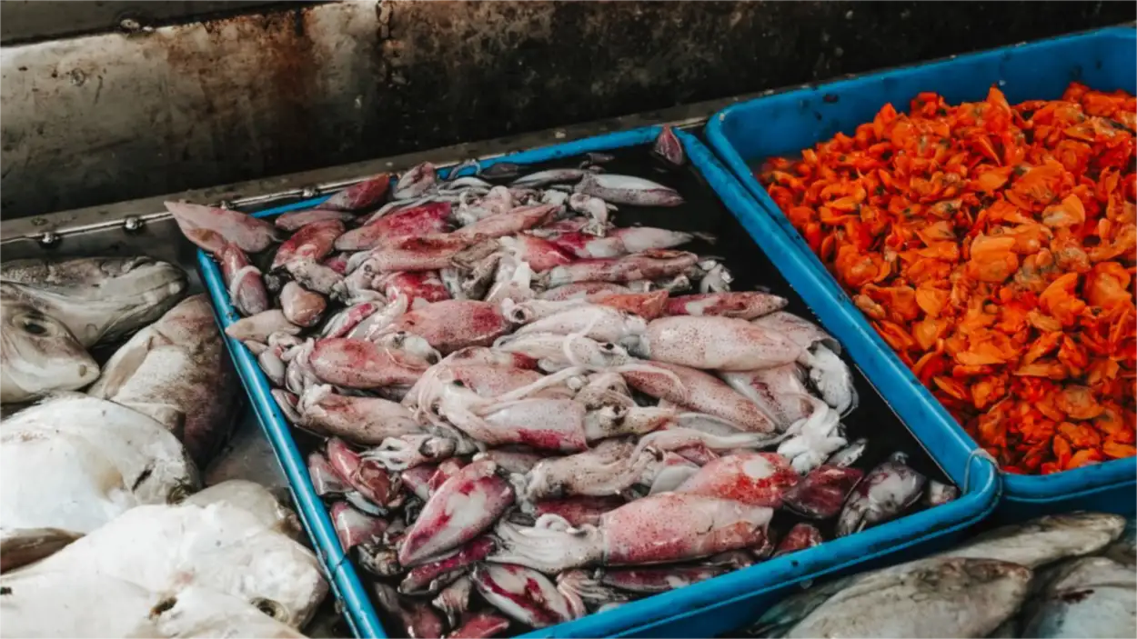 7 plats philippins de fruits de mer faciles à cuisiner